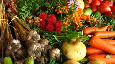 Five Typical Myths About Organic Food