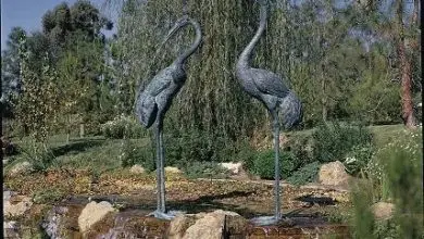 water fountains