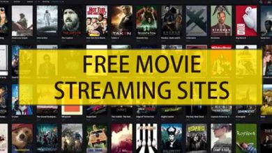 Watch Free Movies Online From These Streaming Websites