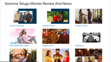 Exploring the iBomma's Telugu Content
