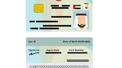 Checking Emirates ID Status