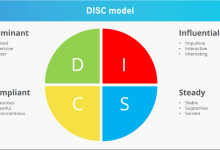 Disc Profile