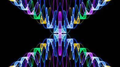 Spotify DNA