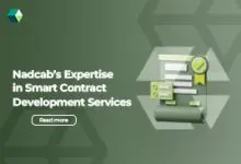 Development Services